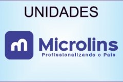 MICROLINS
